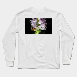 Bee On Obedient Plant Long Sleeve T-Shirt